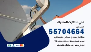 فني ستلايت المسيلة